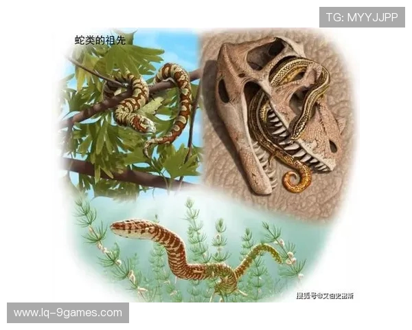 《巨蟒之语：揭秘蛇类心声与人类对话的奇幻冒险》